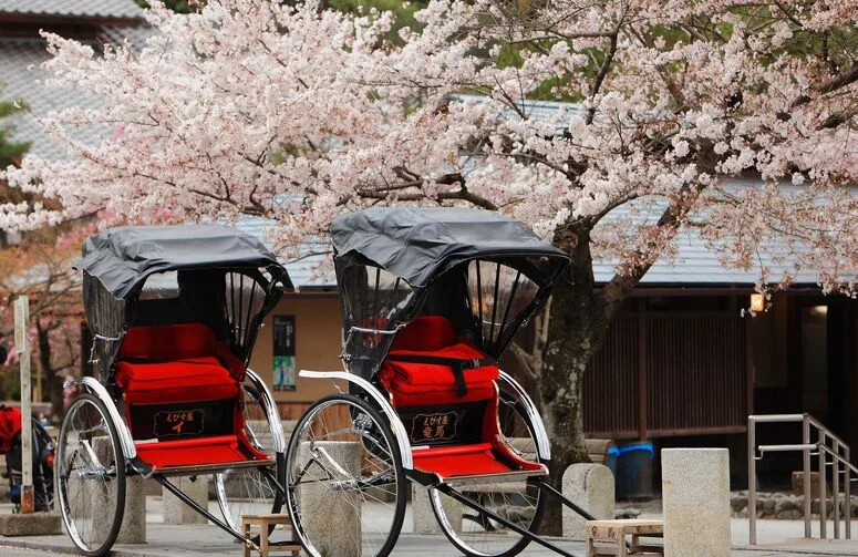 Japonya & Kore Turu